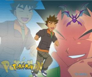 Puzzle Brock, aρχικά ο αρχηγός της κασσίτερος πόλης Γυμναστήριο (κασσίτερος), η οποία ειδικεύεται σε ροκ-Pokémon τύπου.