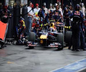 Puzzle Mark Webber - Red Bull - Μελβούρνη 2010