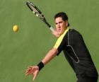 Frontenis παίκτη έτοιμο για ένα πραξικόπημα