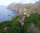 Subantarctic νησιά, που περιλαμβάνει τα νησιά του Snares, Bounty, Αντίποδες, Auckland και Campbell, που βρίσκεται στο Νότιο Ωκεανό, νοτιοανατολικά της Νέας Ζηλανδίας.