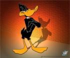 Daffy πάπια στο το Looney Tunes