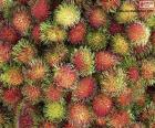 Οι καρποί του Rambutan, γεννιούνται σε συστάδες και έχουν ένα ζουμερό λευκό πολτό
