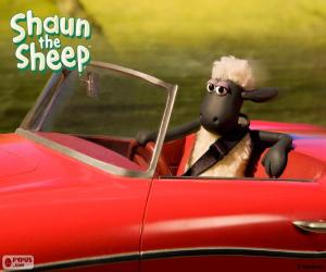 Puzzle Shaun οδήγηση ενός αυτοκινήτου