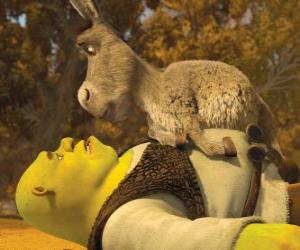 Puzzle Shrek και Donkey, κοιτάζοντας