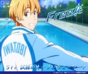 Puzzle Ναγκίσα με την φόρμα του Iwatobi κολυμβητικός Όμιλος