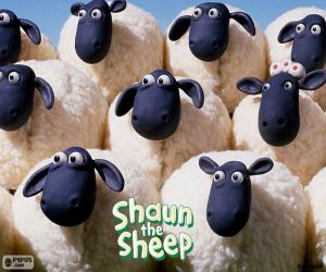 Puzzle Πρόβατα του κοπαδιού του Shaun