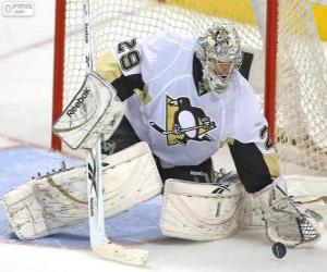 Puzzle Χόκεϊ επί πάγου-goaltender